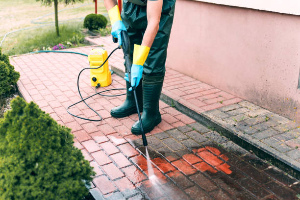 Best Building Exterior Washing  in Searingtown, NY